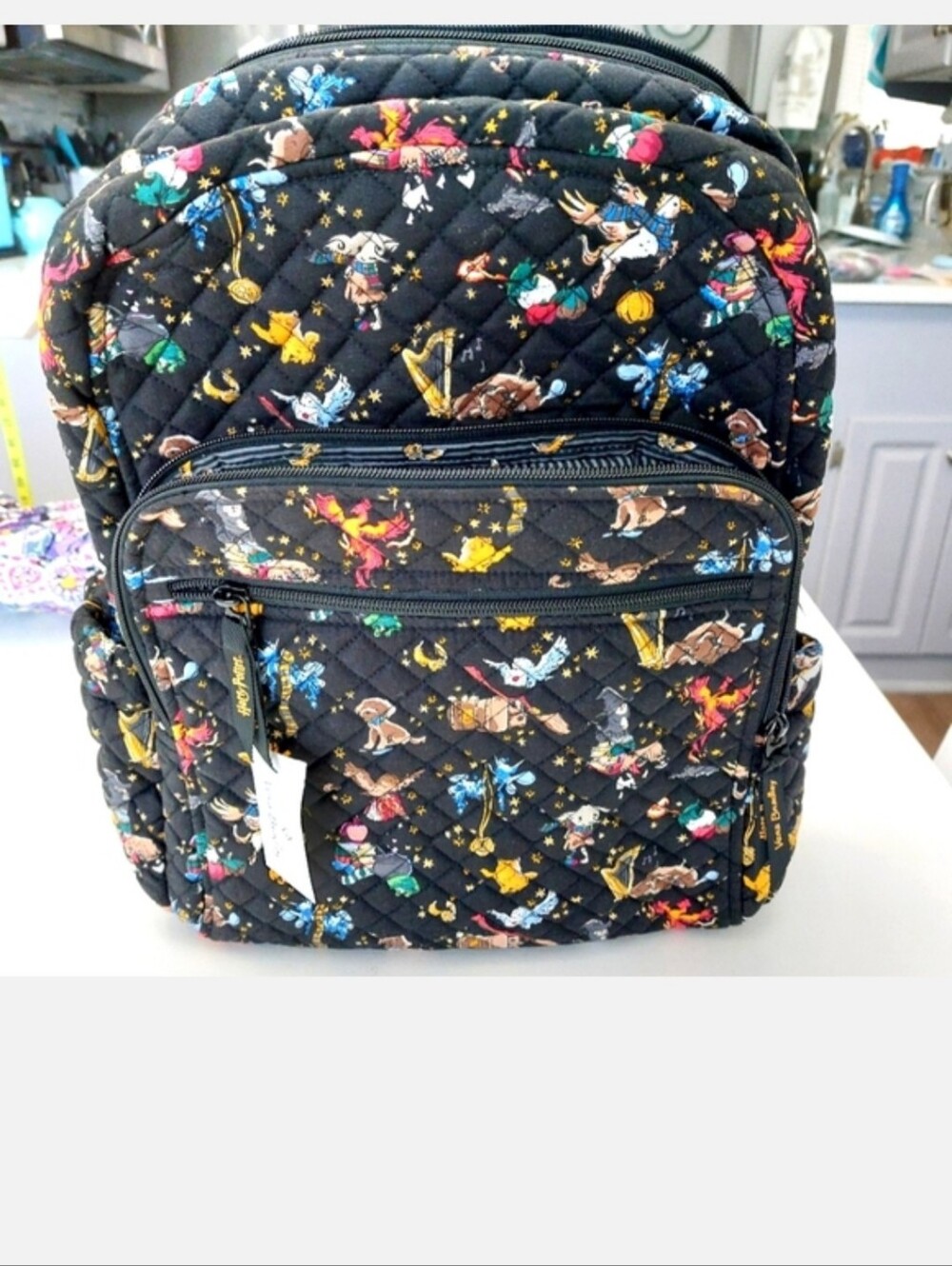 Vera Bradley Harry Potter Friends At Hogwarts Ditsy Campus Backpack NWT